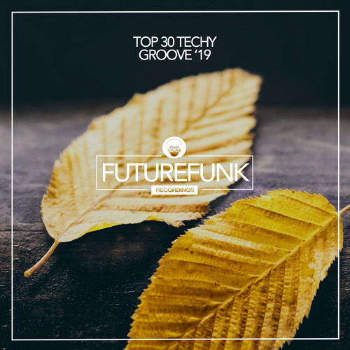 Top 30 Techy Groove '19