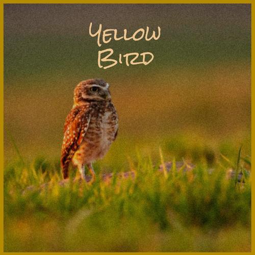 Yellow Bird