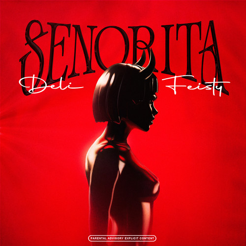 Senorita (Explicit)