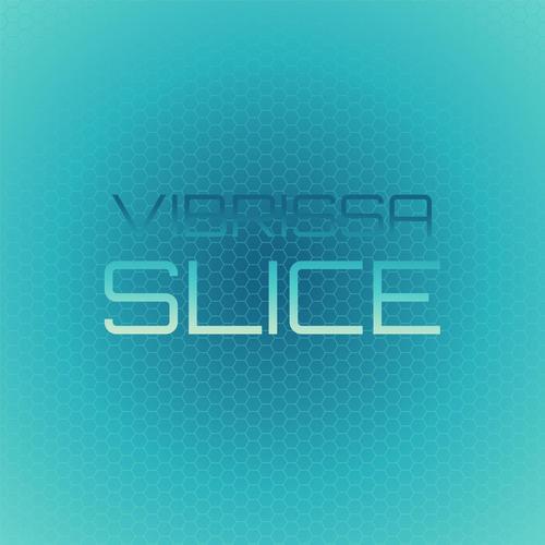 Vibrissa Slice