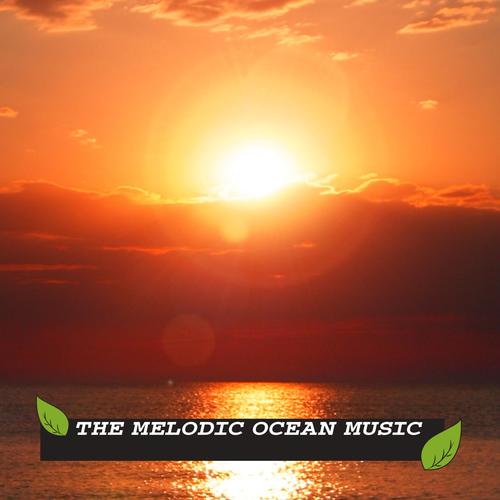 The Melodic Ocean Music