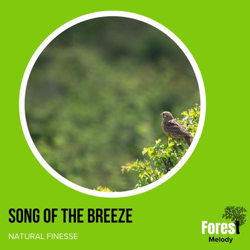 Song of the Breeze - Natural Finesse