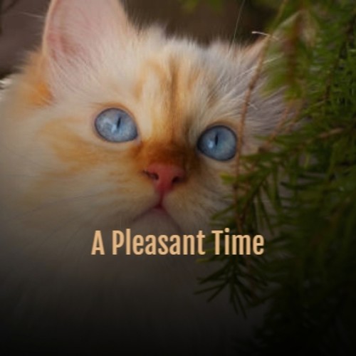 A Pleasant Time