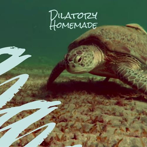 Dilatory Homemade