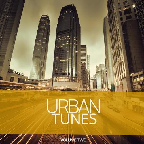 Urban Tunes, Vol. 2 (Rough And Urban Deep House Sound For You)