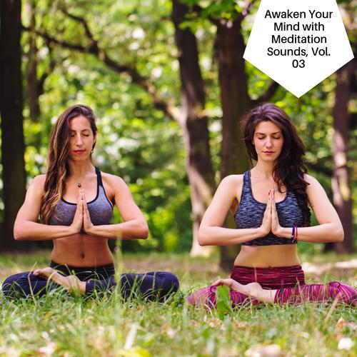 Awaken Your Mind With Meditation Sounds, Vol. 03