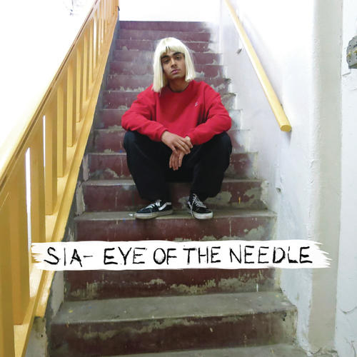 Eye of the Needle