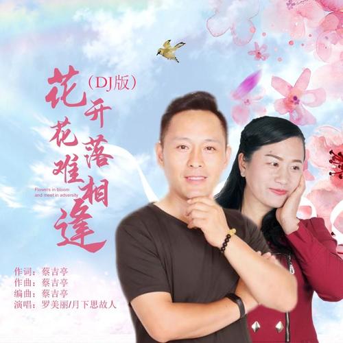 花开花落难相逢（DJ版）