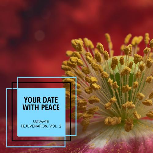 Your Date With Peace - Ultimate Rejuvenation, Vol. 2