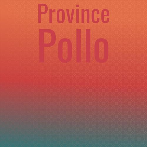 Province Pollo