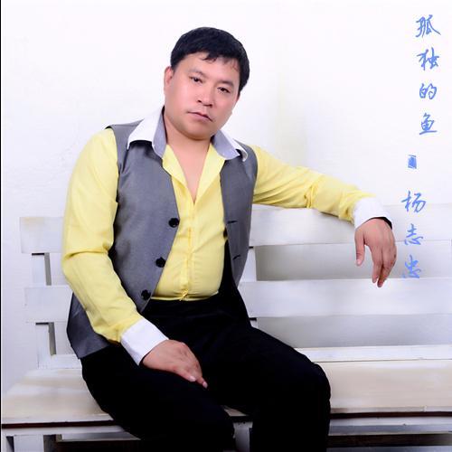 孤独的鱼_杨志忠_单曲在线试听_酷我音乐