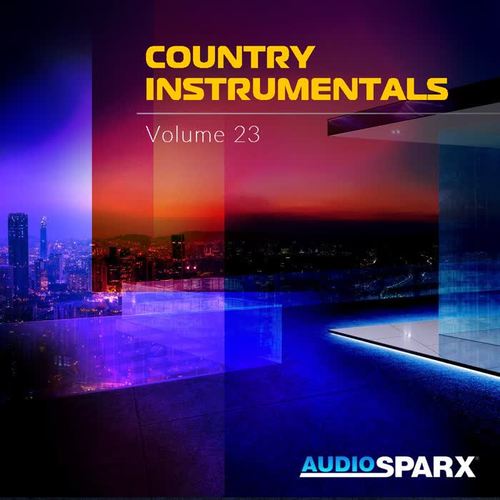 Country Instrumentals Volume 23