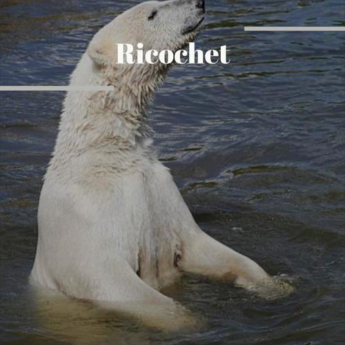 Ricochet