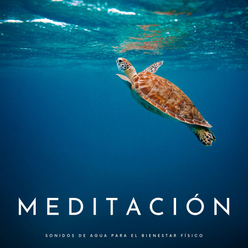 Meditación: Sonidos De Agua Para El Bienestar Físico