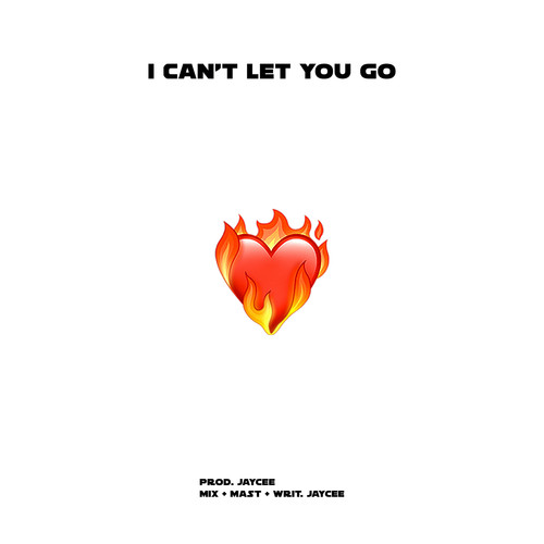 I Can't Let You Go