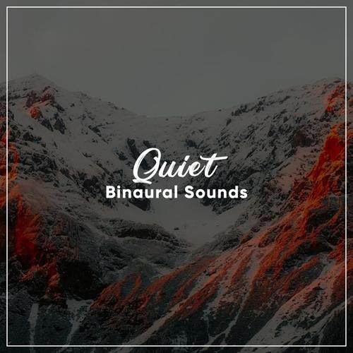 #12 Quiet Binaural Sounds