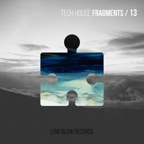 Tech House Fragments 13