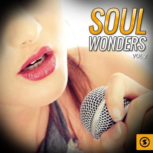 Soul Wonders, Vol. 2