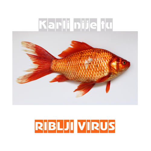 Riblji virus