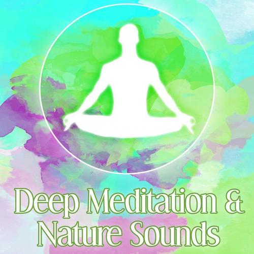 Deep Meditation & Nature Sounds – Music to Help You with Meditate, Bird Songs, Meditation & Relaxation