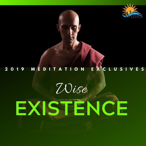 Wise Existence - 2019 Meditation Exclusives