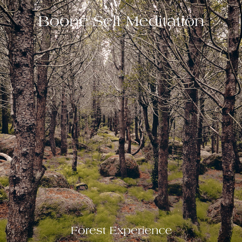 Forest Experience