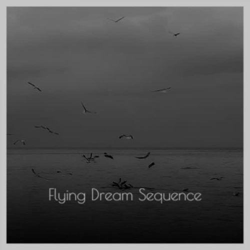 Flying Dream Sequence