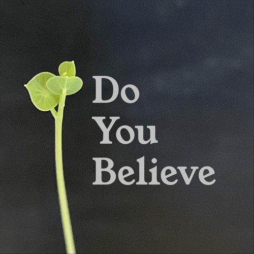 Do You Believe (feat. Mary Cameron)