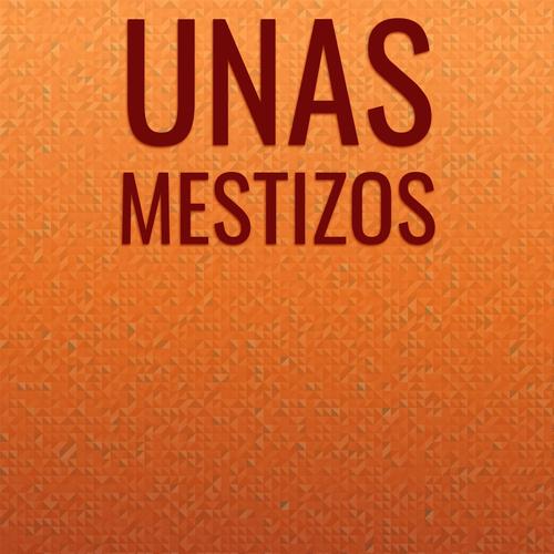 Unas Mestizos