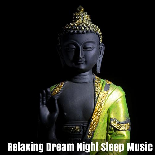 Relaxing Dream Night Sleep Music