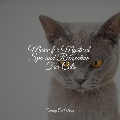 Music for Mystical Spa and Relaxation For Cats