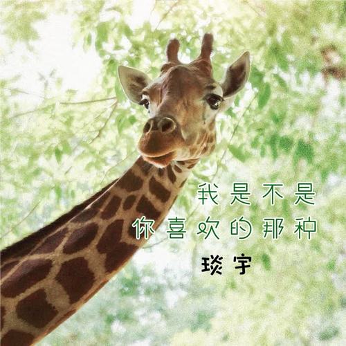 我是不是你喜欢的那种