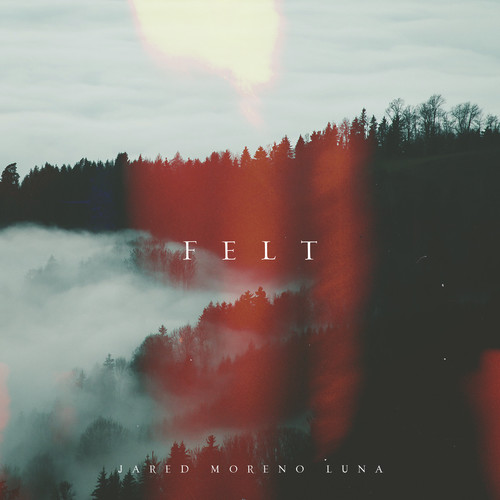 Felt