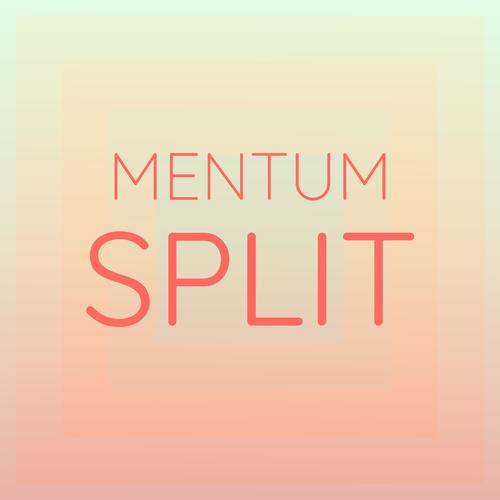 Mentum Split