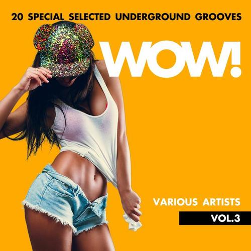 WOW! (20 Special Selected Underground Grooves) , Vol. 3