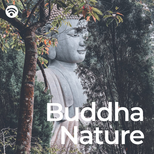 Buddha Nature: Celestial Resonance of Enlightenment