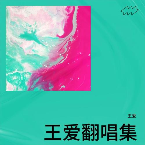 王爱翻唱集