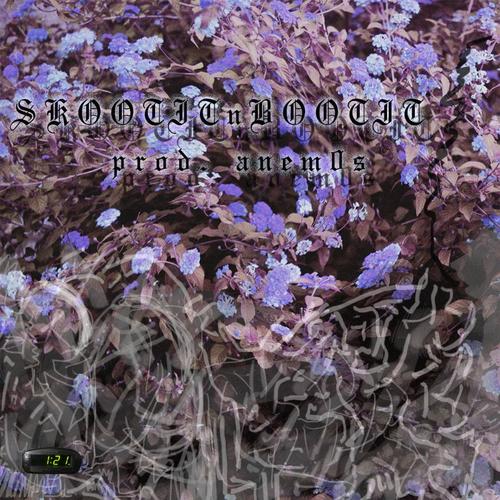 SkootitnBootit (feat. anem0s)