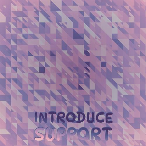 Introduce Support