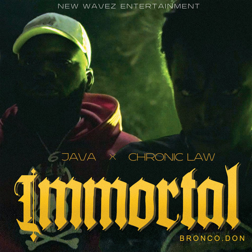 Immortal (Explicit)