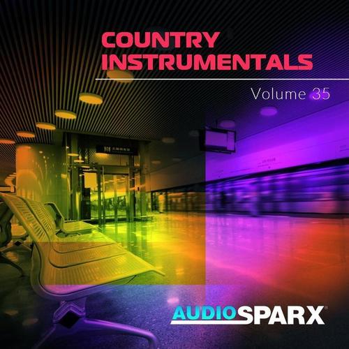 Country Instrumentals Volume 35