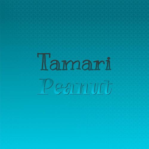 Tamari Peanut