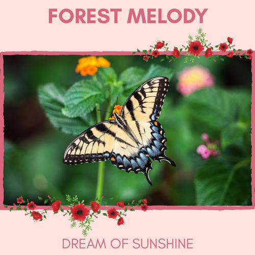 Forest Melody - Dream of Sunshine