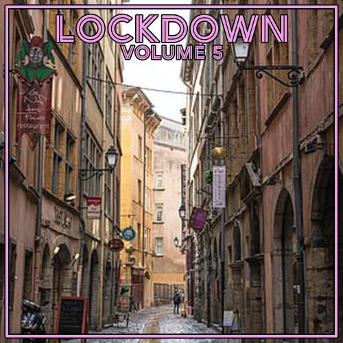 Lock Down Vol. 5