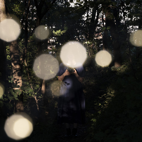 반딧불 (The Glow of a Firefly)