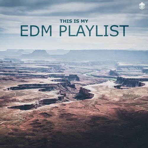 This is My EDM Playlist