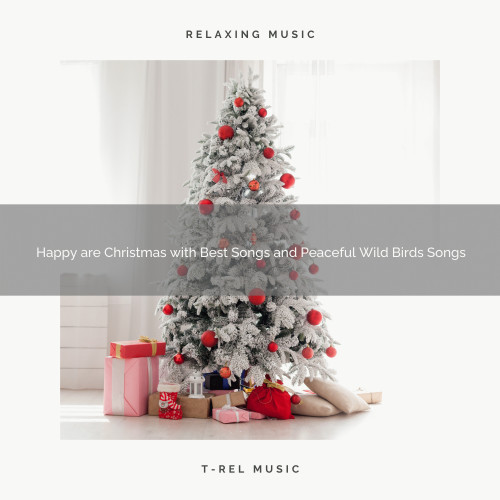 Happy are Christmas with Best Songs and Peaceful Wild Birds Songs