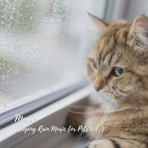 Music: Sleeping Rain Music for Pets Vol. 1