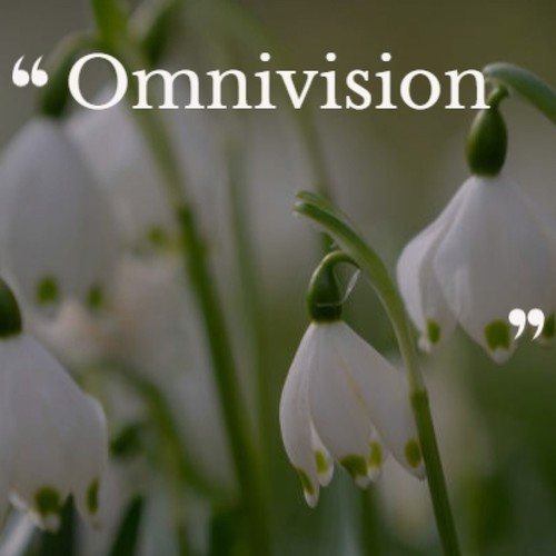 Omnivision