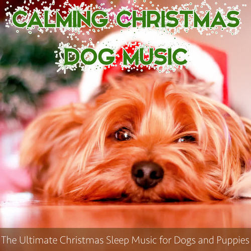 Calming Christmas Dog Music: The Ultimate Christmas Sleep Music for Dogs and Puppies